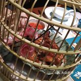 这次趁工作日休息，带家里人来尝尝。菜色和摆盘都很不错