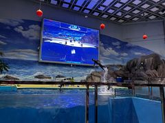 -福州罗源湾海洋世界旅游区