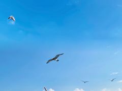 -海驴岛(荣成市)
