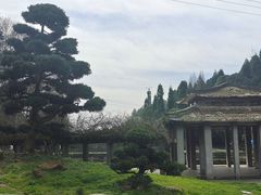 -贵州省植物园