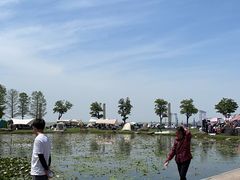 -滆湖低碳生态公园
