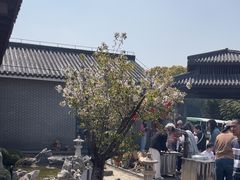 -菊园百果园