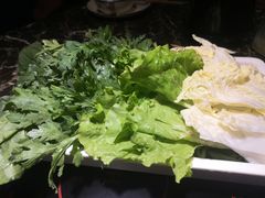 -百岁鱼(望月路店)