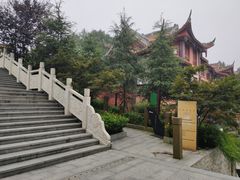 -铁山坪森林公园