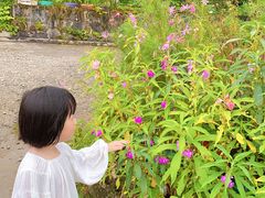 -大围山国家森林公园