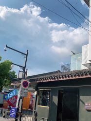 -蚂蚁造型沙龙