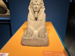 -上海博物馆(人民广场馆)