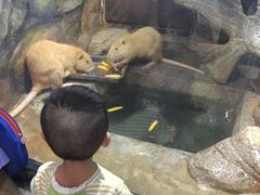 -福州罗源湾海洋世界旅游区