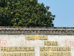 -观潮胜地公园