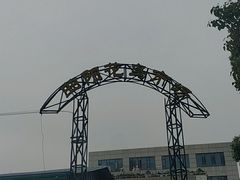 -曲阳花鸟市场(曲阳路店)