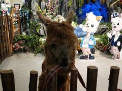 -开元商城(西旺店)