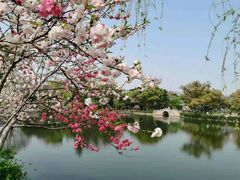 -无锡蠡湖国家湿地公园-蠡园