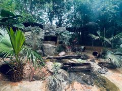 -海南热带野生动植物园