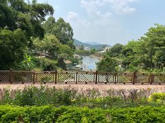 -泉州海丝野生动物世界