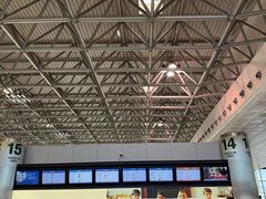 -米兰马尔彭萨国际机场