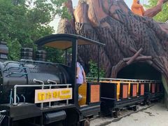 -郑州方特梦幻王国