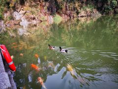 -水濂山森林公园