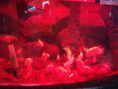 -苏州海洋馆