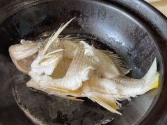 油盐焗海立鱼-百味馆·粤菜·湛江菜(后海花园店)