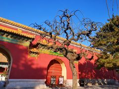 -北京市劳动人民文化宫(太庙)
