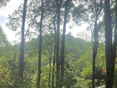 -贵州省植物园