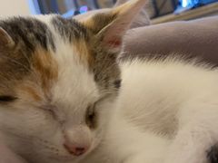 -宠颐生汉谟拉比宠物医院