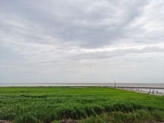 -南汇嘴观海公园