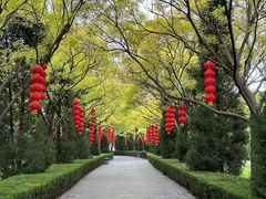 -大槐树寻根祭祖园
