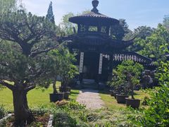 -盆景园(扬州大运河文化旅游度假区)