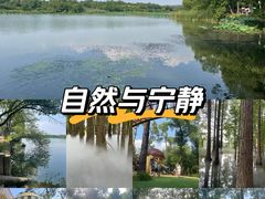 -东湖落雁景区