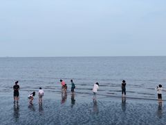 -南汇嘴观海公园