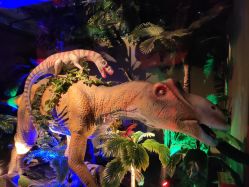 -恐龙探索乐园(磁器口店)