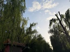 -北京市劳动人民文化宫(太庙)