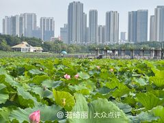 -月湖风景区