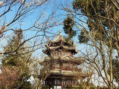 -上海海湾国家森林公园