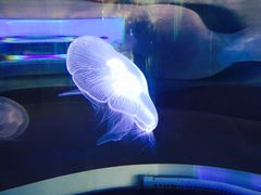 -横店影视城梦幻谷园区