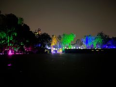 -枫花园汽车电影院(朝阳公园店)