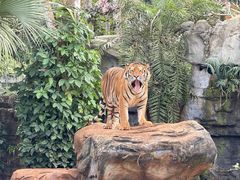 -海南热带野生动植物园