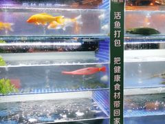 -好灶头妈妈菜·千岛湖柴火鱼餐厅(桐庐店)