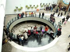 -自贡恐龙博物馆