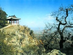 -北京鹫峰国家森林公园