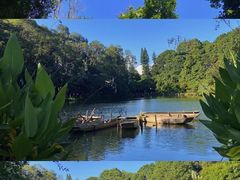-深圳仙湖植物园