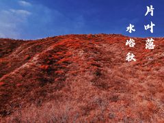 -水峪民俗村