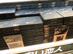 -关西国际机场直营免税店
