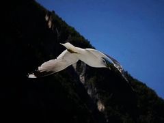 -维格兰雕塑公园