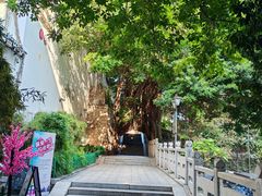 -乌山风景区