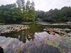 -杭州植物园