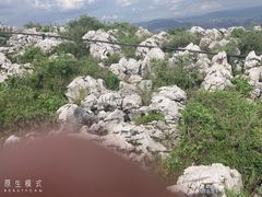 -长虫山生态公园风景林