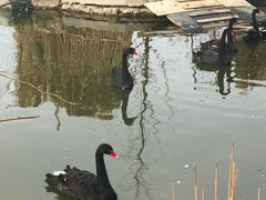 -燕郊植物园