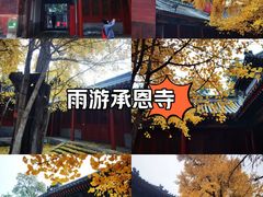 -承恩寺